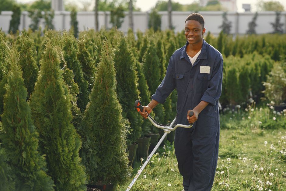 Professional landscaper working on lawn care