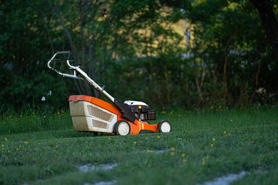 Professional lawn mowing and edging services