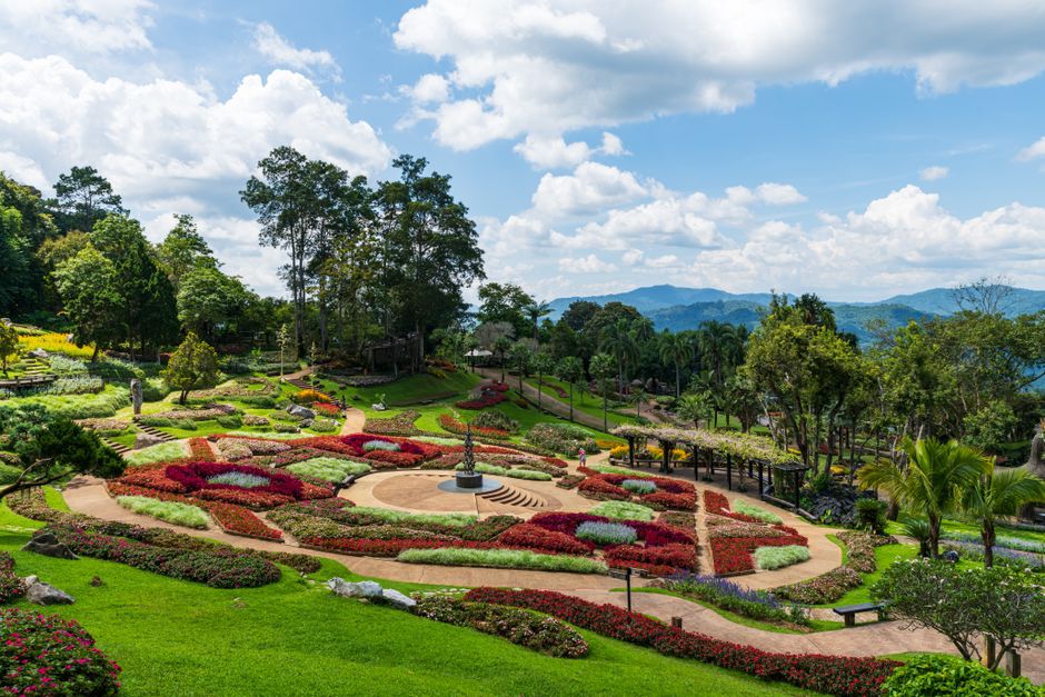 Beautifully landscaped luxury garden